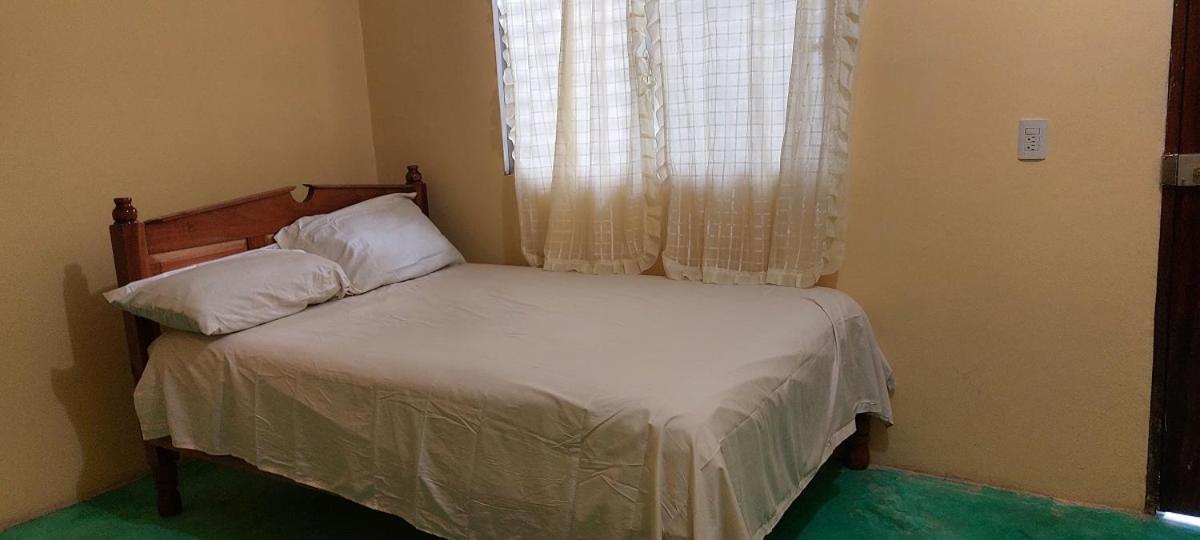 Posada Tzeltal Arroyo Agua Azul エクステリア 写真