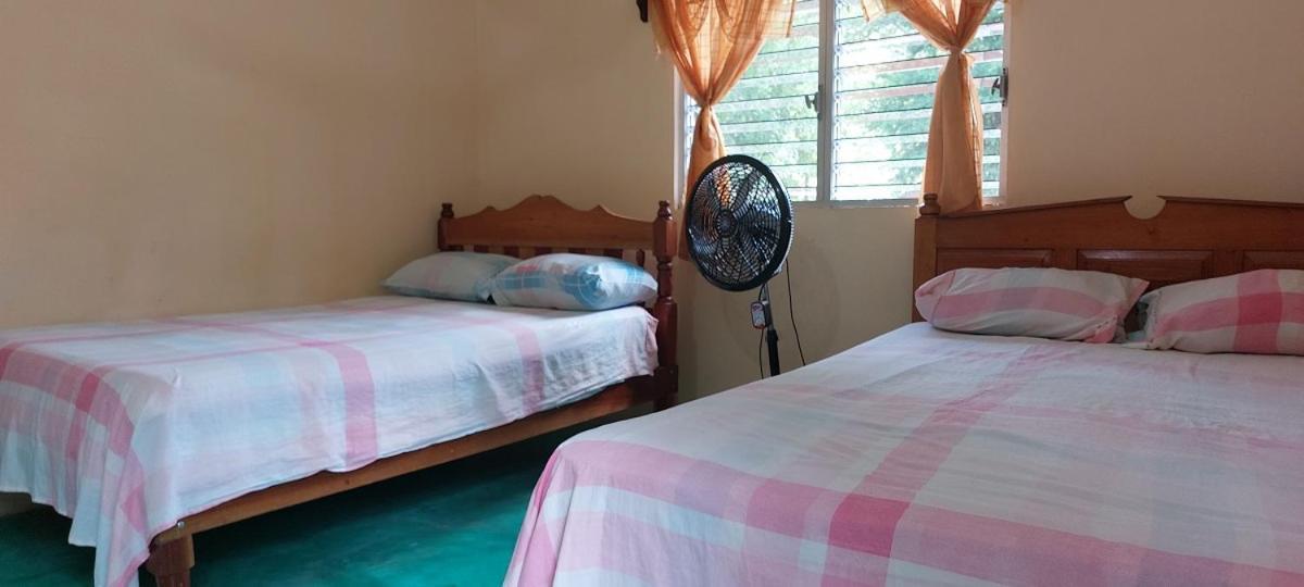 Posada Tzeltal Arroyo Agua Azul エクステリア 写真