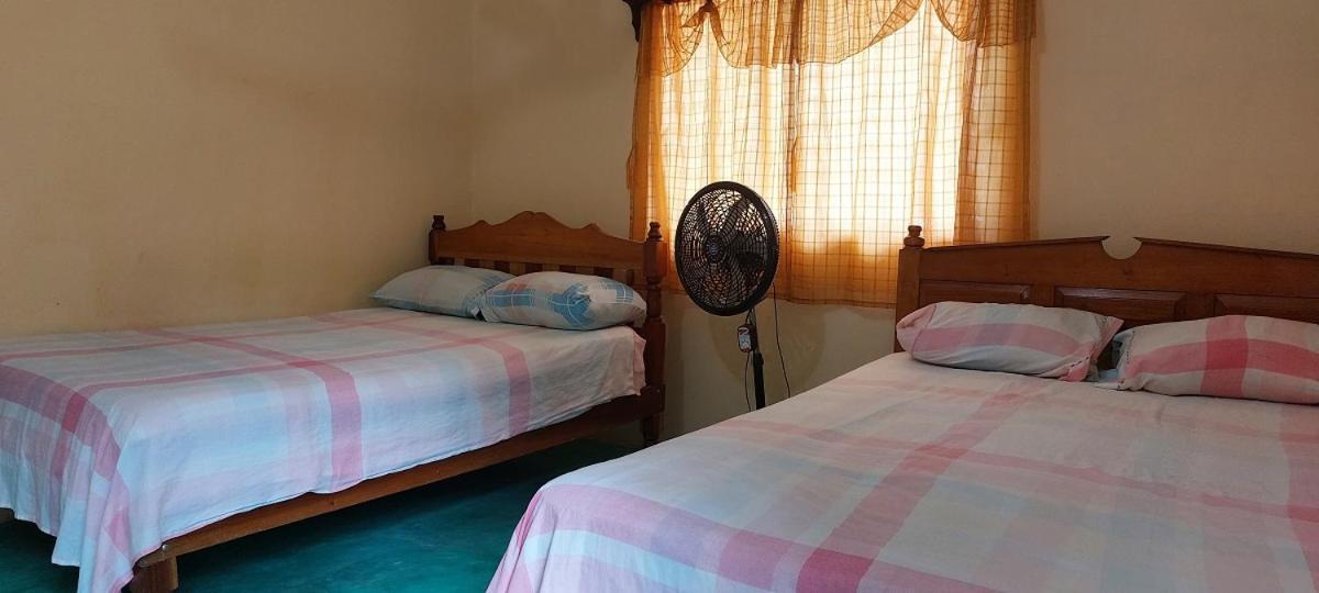 Posada Tzeltal Arroyo Agua Azul エクステリア 写真