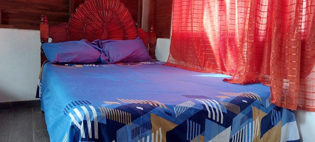 Posada Tzeltal Arroyo Agua Azul エクステリア 写真